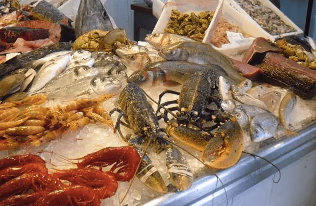 Mercado de Abastos food market in Conil