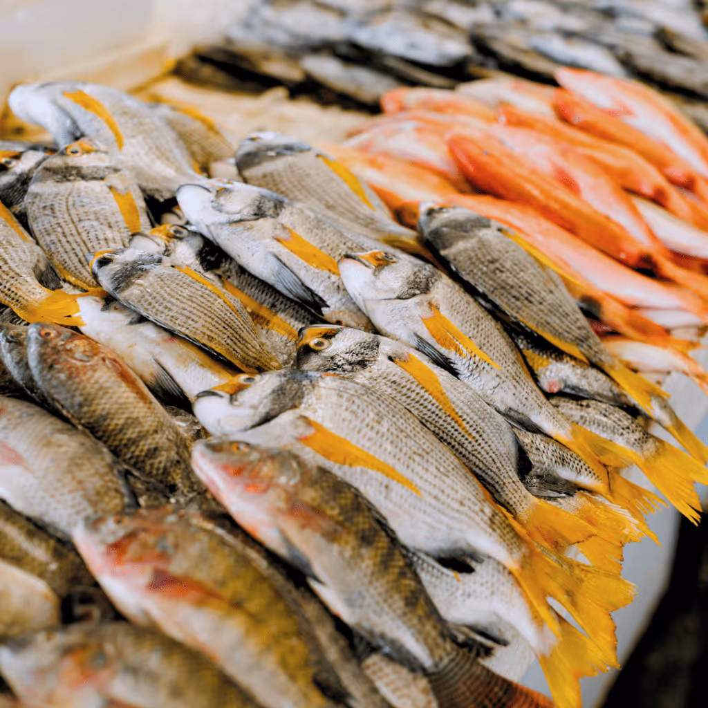 Fresh fish stall with a varied, carefully displayed selection of seafood