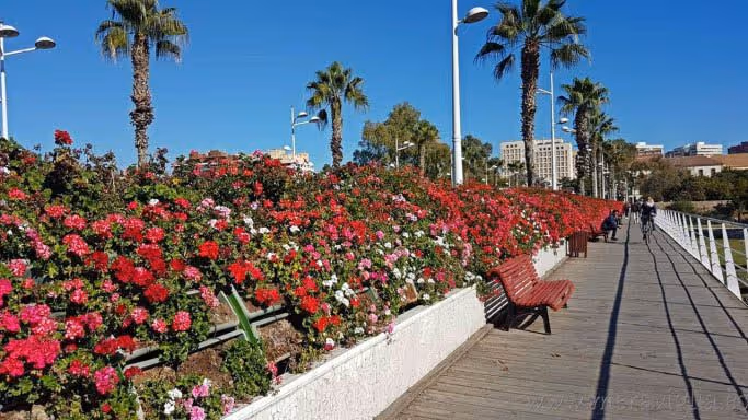 Puente de las Flores, Turia Gardens in Valencia