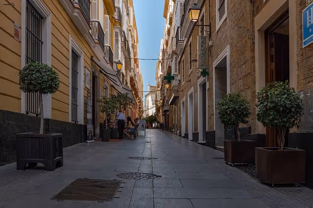 Busy shopping street in Cádiz