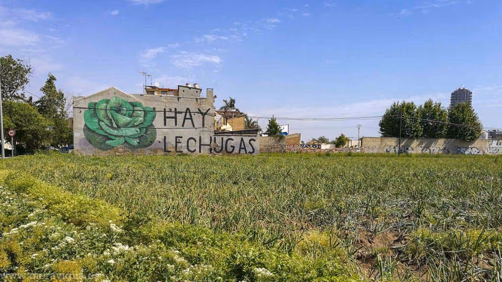 Visit Valencia