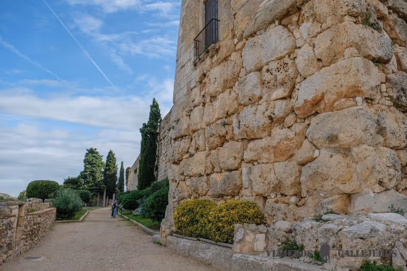 Archaeological promenade