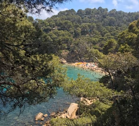 A cove on the Costa Brava